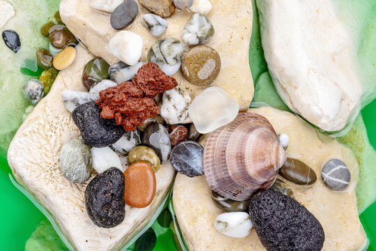 Pietre di mare con ciottoli e conchiglia