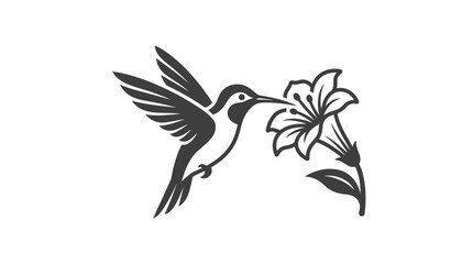 Fototapeta premium Hummingbird Feeding from Flower.
