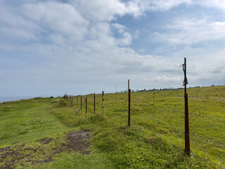 Fototapeta premium Rustic Barbed Wire Fence Along Green Meadow Under Cloudy Sky