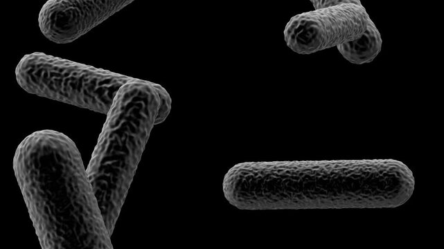 3D rendering of rod shaped black microbes drifting slowly against a solid black background