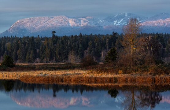 Vancouver Landscape