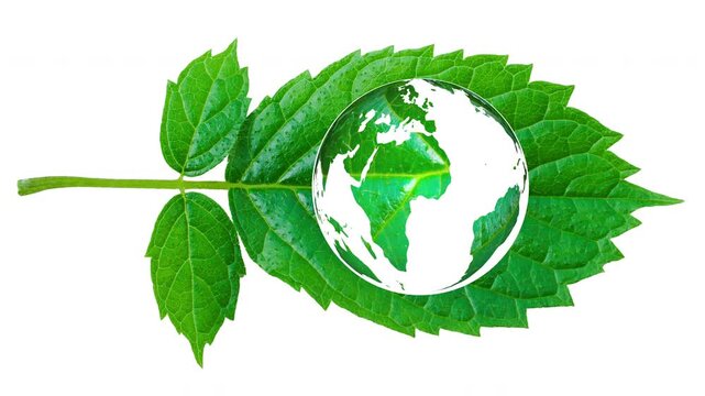 A green leaf designed in the shape of a world map, representing ecology, sustainability, climate change, environmental conservation, biodiversity, and global awareness. Ideal for Earth Day.