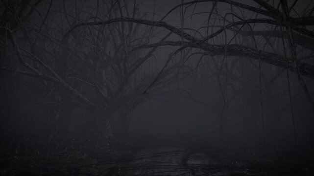 Passing Through the Horror Forest at Night