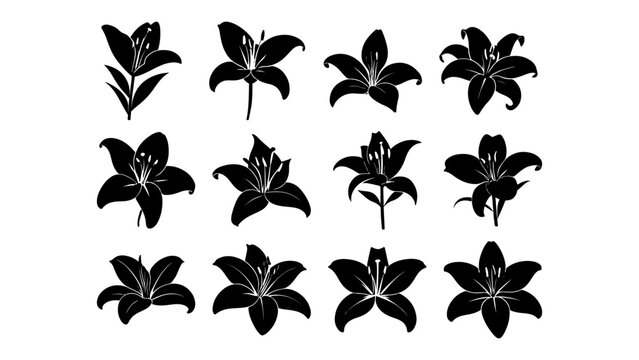 Collection of Various Black and White Lily Flower Silhouettes.