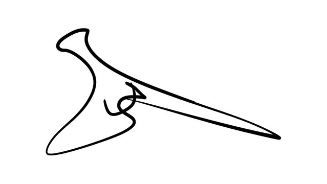 Simple line art pterodactyl illustration white background.