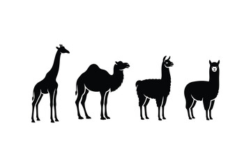 Fototapeta premium Silhouettes of Giraffe Camel Llama and Alpaca