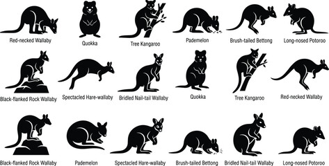 Obraz premium Australian Marsupial Silhouette Collection Featuring Wallabies Quokka Kangaroo Bettong Potoroo and Pademelon Wildlife Vector Set