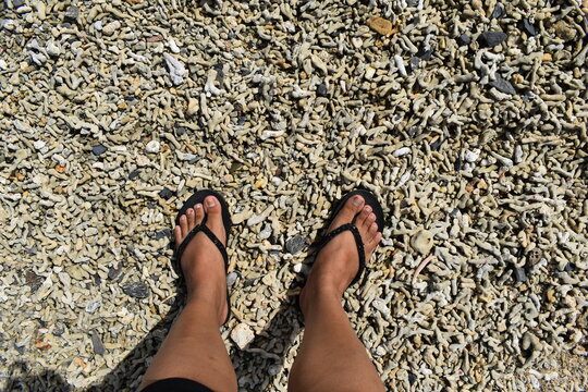A person feet, standing on a shore densely covered with broken and bleached coral fragments washed ashore at Saline Bay in Toco, Trinidad and Tobago.