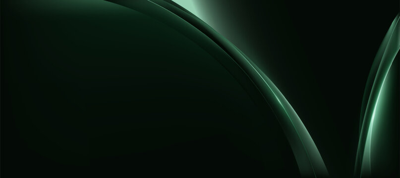 Luxury green black curve background, abstract elegant background vector for branding presentation