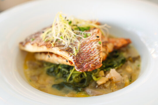 Grilled fish fillets served over saut&eacute;ed greens and topped with fresh sprouts in a light sauce, highlighting the freshness and refined simplicity of Santorini&rsquo;s coastal Mediterranean cuisine.
