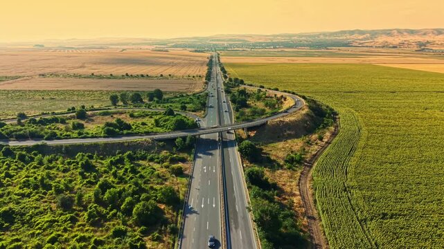 A long road runs through flat lands, passing by rows of green plants. Cars travel along the road as the sun sets, casting a warm glow over the scene.