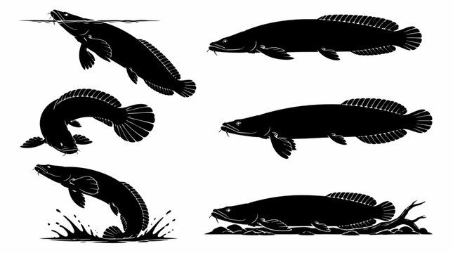 Snakehead Fish Silhouettes in Various Poses for Aquatic Graphics