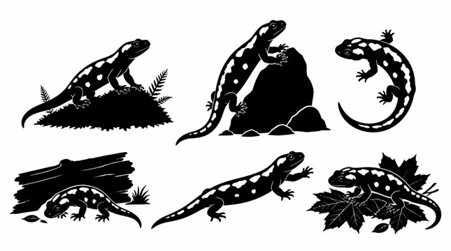 Salamander Silhouette Collection in Various Poses and Natural Settings