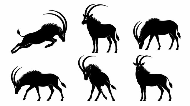 Set of Oryx Antelope Silhouettes in Various Poses