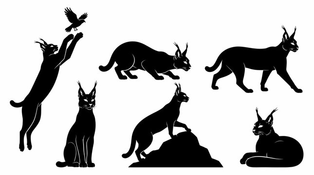 Caracal Cat Silhouettes Set, Various Poses and Actions