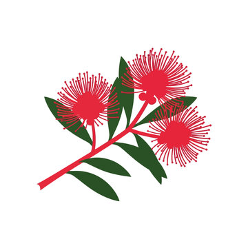 Red bottlebrush flowers on a branch with green leaves.