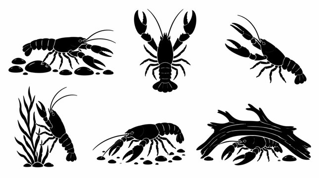 Set of crayfish silhouettes in various poses on white background