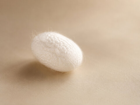 AI generated single white silkworm cocoon soft natural fibers minimal background highlighting organic texture for biology textile education nature concepts