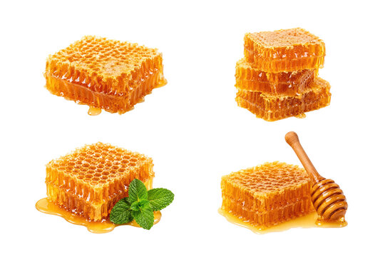Collection of fresh honeycomb with golden honey, including single pieces, stacked sections, mint garnish, and a wooden honey dipper, isolated on a white background. Natural sweet food assortment 