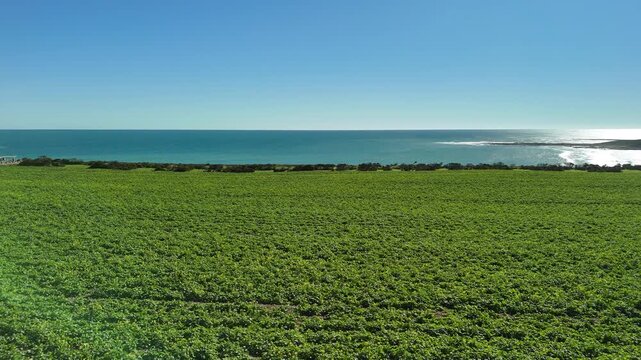 White Hut, Yorke Peninsula, South Australia &ndash; 4K aerial drone view of agricultural landscape, canola farms, Daly Head National Surfing Reserve, rocky coastline 