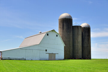 A white barn and three storage silos project a serene scene while gracing a farm in northeastern Illinois. © Bruce Leighty
