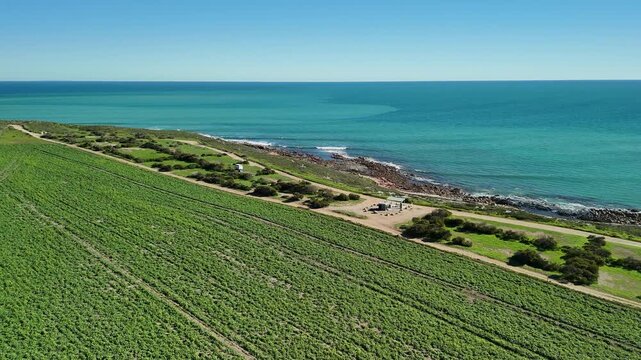 White Hut, Yorke Peninsula, South Australia &ndash; 4K aerial drone view of agricultural landscape, canola farms, contryside road, Daly Head National Surfing Reserve, rocky coastline.