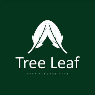 Natural leaf design, elegant, eco-friendly, natural leaf template