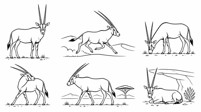 Oryx Antelope Set in Line Art Style, African Safari Wildlife Concept