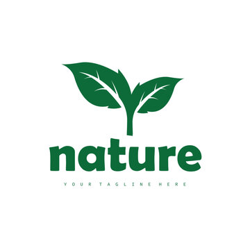 Natural leaf design, elegant, eco-friendly, natural leaf template