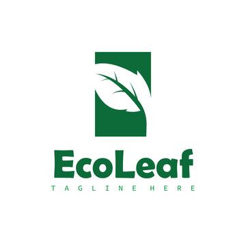 Natural leaf design, elegant, eco-friendly, natural leaf template