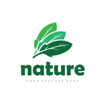 Natural leaf design, elegant, eco-friendly, natural leaf template
