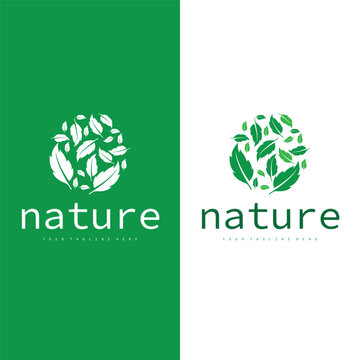 Natural leaf design, elegant, eco-friendly, natural leaf template