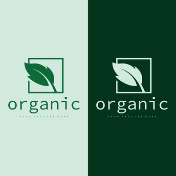 Natural leaf design, elegant, eco-friendly, natural leaf template