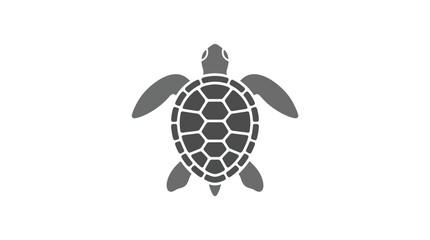 Turtle Shell Icon Graphic Design Element. © Andre
