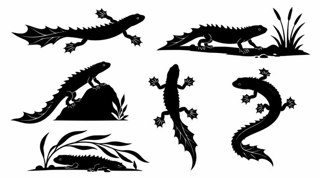Great Crested Newt Silhouettes Set in Various Poses
