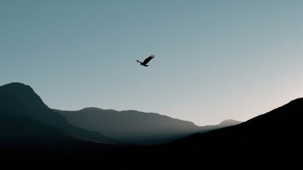 Fototapeta premium Bird flying over mountain landscape