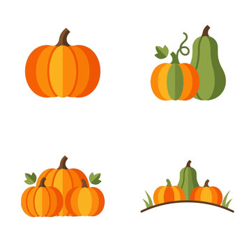 Collection of Autumn Harvest Pumpkins and Squashes Vector Design