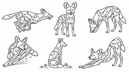 Obraz premium African Wild Dog Sketch Set in Various Poses, Wildlife Line Art Illustration