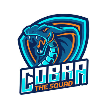 The logo for 'Cobra The Squad' showcases a striking blue and orange cobra in a fierce pose, symbolizing strength and teamwork in sports or gaming environments.