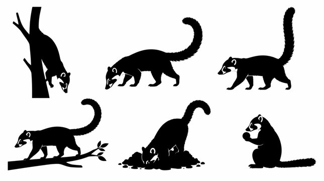 Coati Silhouettes Collection in Various Poses and Activities