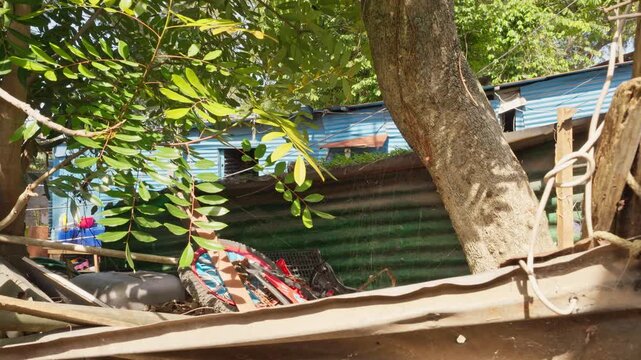 Framing through foliage and a tree trunk partially showing a home with blue sheet metal walls and stacked items in the yard.