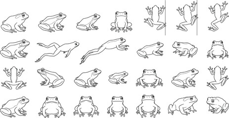 Fototapeta premium Frog Outline Illustration Collection with Multiple Poses and Views for Wildlife Vector Design and Coloring Pages