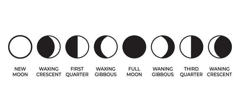Moon phases new moon waxing crescent first quarter gibbous full
