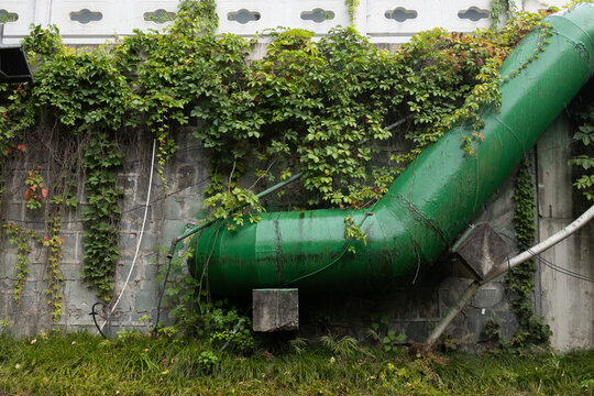 A large green industrial pipe running along a stone wall covered with lush green ivy and climbing plants in an outdoor setting