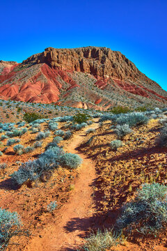 Red Desert Trail with Rocky Pinnacles and Blue Sky Nevada Landscape