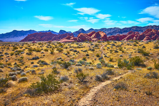 Pinnacles Trail Leading to Red Rock Formations in Vibrant Desert Landscape