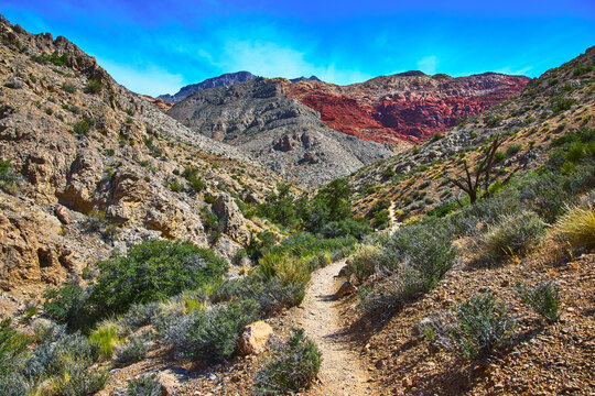 Desert Hiking Trail Through Rocky Ash Canyon with Red Mountains and Blue Sky