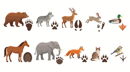 Fototapeta premium Animal footprints and animals in nature scene. Wildlife tracks with various animals including bear, wolf, deer, rabbit, duck, horse, elephant, fox,...