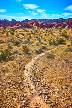 Pinnacles Trail Leading to Red Rock Formations in Sunny Desert Landscape