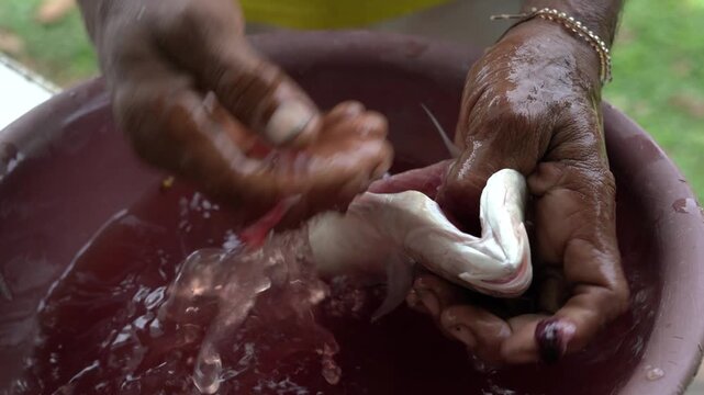 Traditional fish cleaning and filleting process by hand on a wooden table